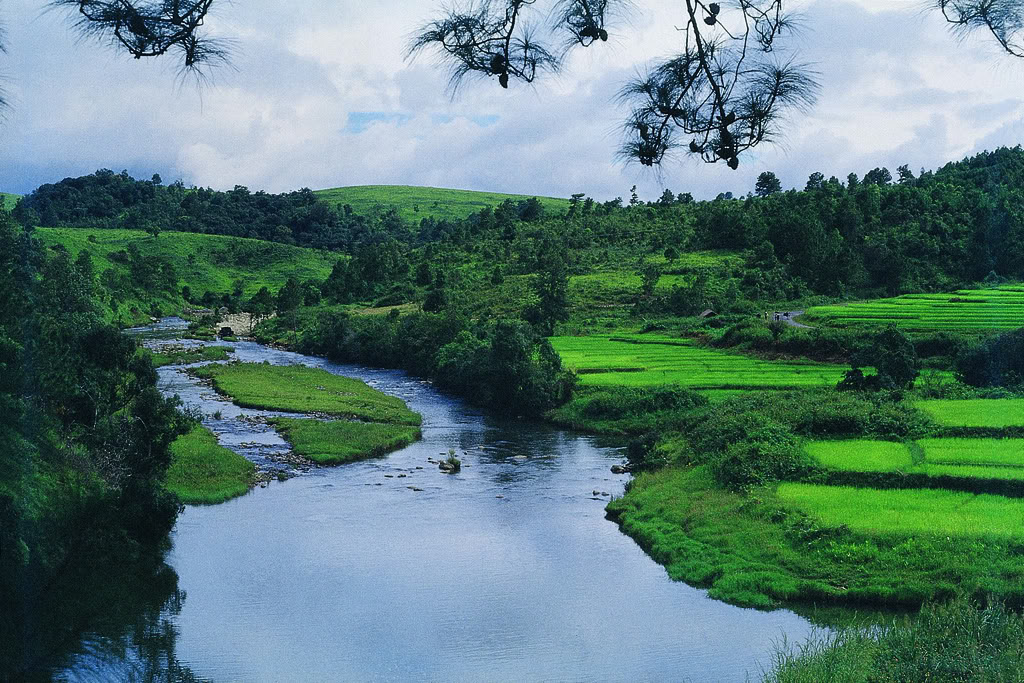   Assam - Meghalaya Trip 